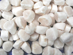scallop meats  IQF without roe