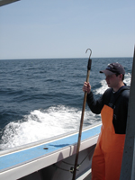 lobster fishing