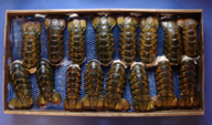 lobster tails