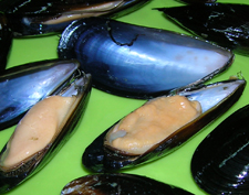 mussels cooked whole