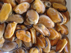 mussel meats frozen IQF