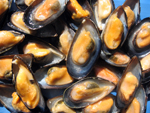 mussels whole cooked or on half shell