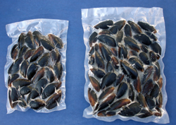Vacuum-Pack.com