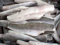 pacific whiting hake fillets