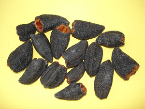 sea cucumbers dried with meat inside