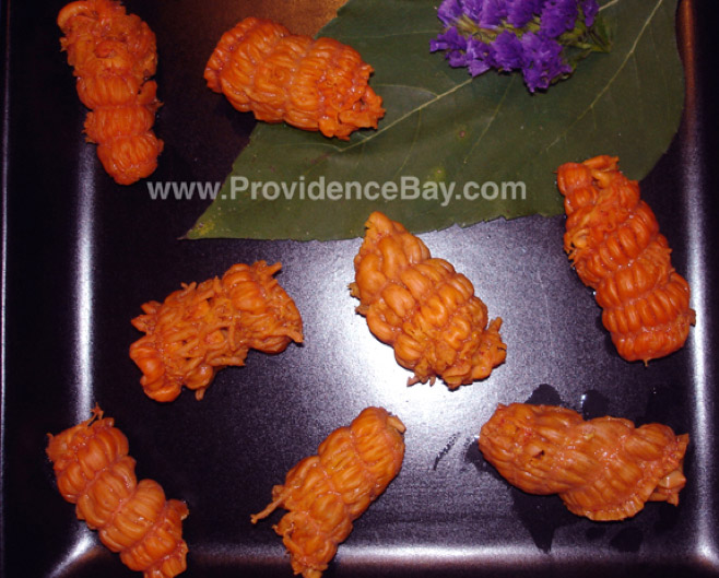 Red Coral Sea Cucumber Meats